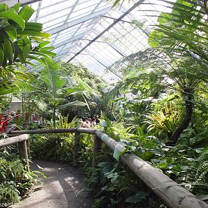 View in Main Greenhouse