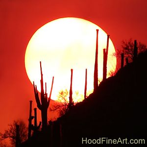 But it's a dry heat!