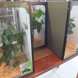 Caterpillar Enclosures