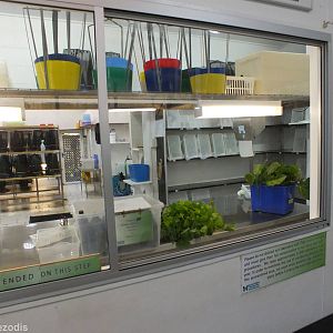 View into Laboratory