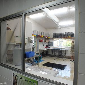 View into Laboratory