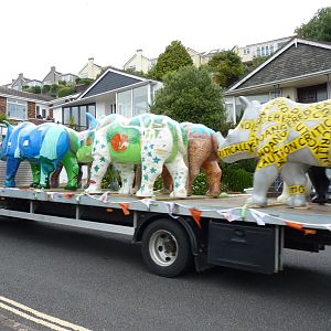 Great Big Rhinos, 9 July 2016