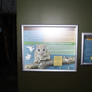 Nocturnal House - June 2016