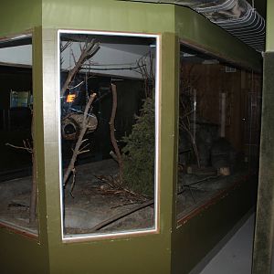 Southern Flying Squirrel Enclosure, Nocturnal House - June 2016