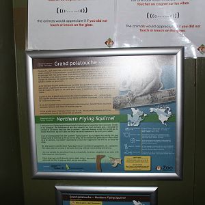 Nocturnal House - June 2016