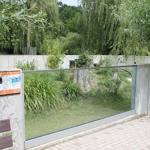 Enclosure Asian small-clawed otter