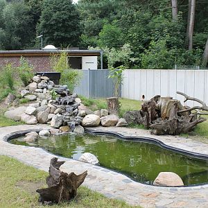 Enclosure Asian small-clawed otter