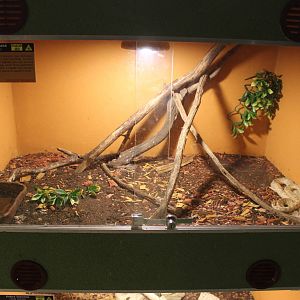 Cobra vivarium, Dvorec Zoo