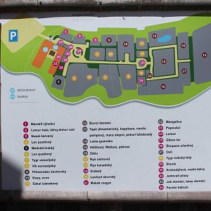 Zoo Map, Dvorec Zoo