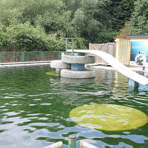 Harbour seal enclosure