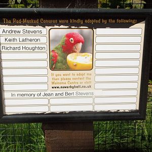New adoption signage, 24th June 2016