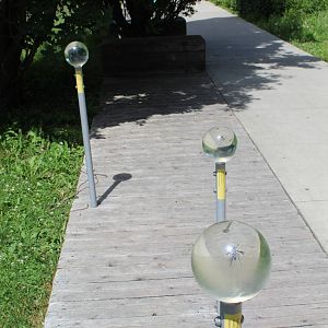 Montreal Botanical Garden Insectarium - June 2016