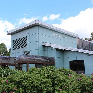 Montreal Botanical Garden Insectarium - June 2016