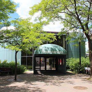 Montreal Botanical Garden Insectarium - June 2016