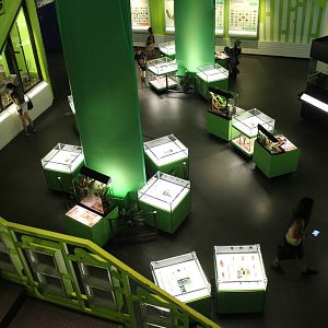 Montreal Botanical Garden Insectarium - June 2016