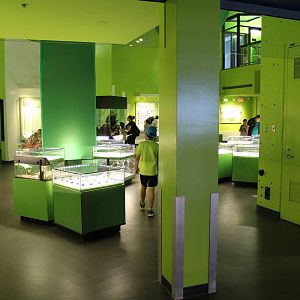 Montreal Botanical Garden Insectarium - June 2016