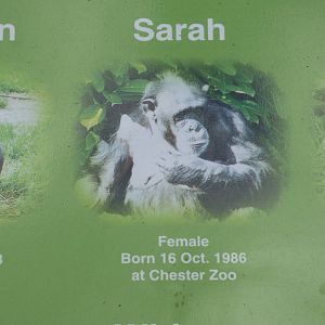 Name Signage Outside Chimpanzee Enclosure