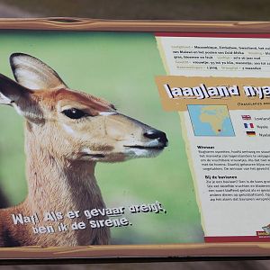 Sign Lowland nyala