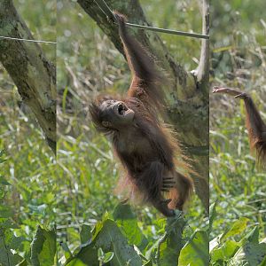 Natalia enjoying herself