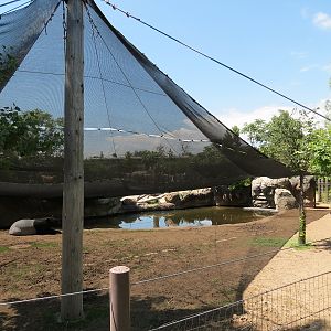 Elephant Passage - Malayan Tapir Exhibit