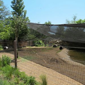 Elephant Passage - Malayan Tapir Exhibit