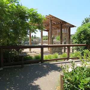 Elephant Passage - Species Rotation Yard Adjacent to Gibbon Exhibit
