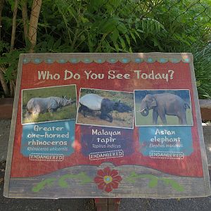 Elephant Passage - Species Rotation Yard Adjacent to Gibbon Exhibit