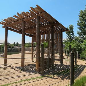 Elephant Passage - Species Rotation Yard Adjacent to Gibbon Exhibit