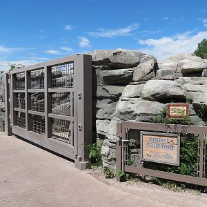 Elephant Passage -Animal Crossing at Visitor Path