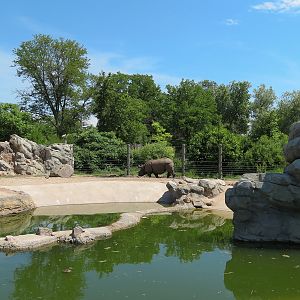 Elephant Passage - Species Rotation Yard Adjacent to Gibbon Exhibit