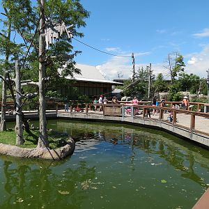 Elephant Passage - Northern White-cheeked Gibbon Exhibit