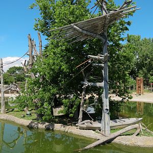 Elephant Passage - Northern White-cheeked Gibbon Exhibit