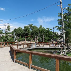 Elephant Passage - Northern White-cheeked Gibbon Exhibit