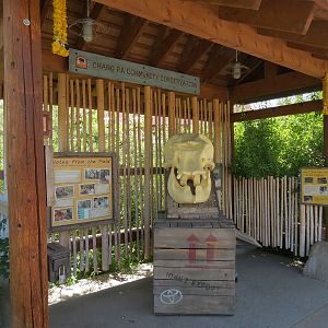 Elephant Passage - Conservation Hut