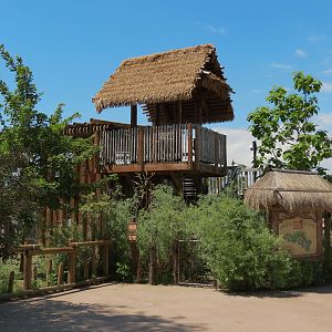 Elephant Passage - Species Rotation Yard Adjacent to Village Hall