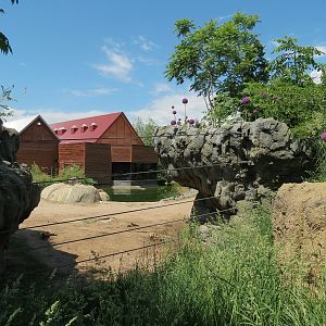 Elephant Passage - Species Rotation Yard Adjacent to Village Hall