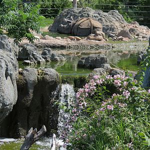 Elephant Passage - Species Rotation Yard Adjacent to Village Hall