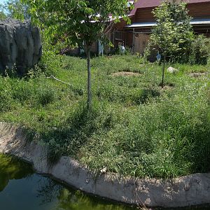 Elephant Passage - Sarus Crane Exhibit