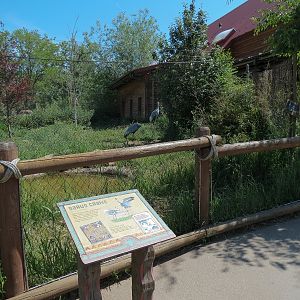 Elephant Passage - Sarus Crane Exhibit