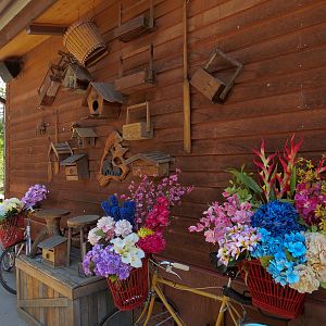 Elephant Passage - Village Hall Exterior