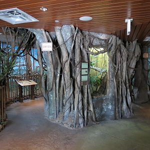 Elephant Passage - Village Hall - Leaf-nosed Rat Snake Exhibit