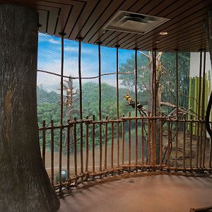 Elephant Passage - Village Hall - Great Hornbill Exhibit