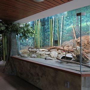 Elephant Passage - Village Hall - Asian Small-clawed Otter Exhibit