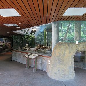 Elephant Passage - Village Hall - Asian Small-clawed Otter Exhibit