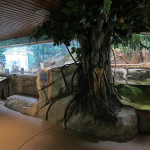 Elephant Passage - Village Hall - Fishing Cat Exhibit