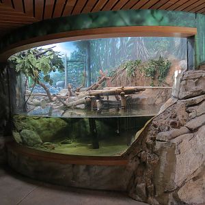 Elephant Passage - Village Hall - Fishing Cat Exhibit