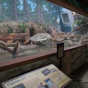 Elephant Passage - Village Hall - Fishing Cat Exhibit
