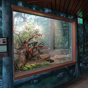 Elephant Passage - Village Hall - Green Tree Python Exhibit