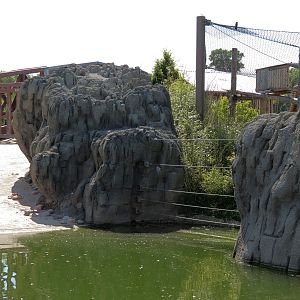 Elephant Passage - Species Rotation Yard Adjacent to Village Hall