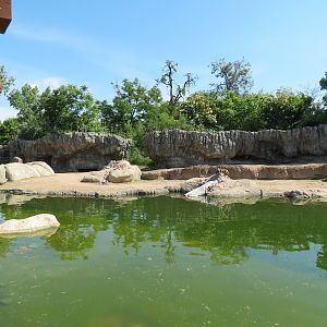 Elephant Passage - Species Rotation Yard Adjacent to Village Hall